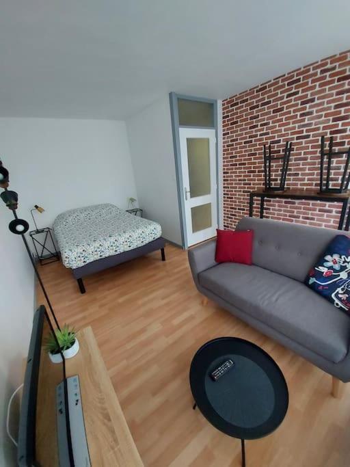 Studio Championnet, Balcon, Haut Confort Grenoble Ngoại thất bức ảnh