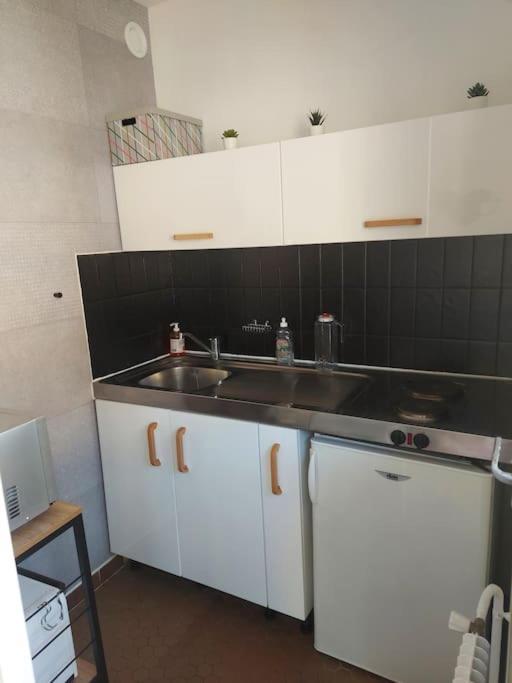 Studio Championnet, Balcon, Haut Confort Grenoble Ngoại thất bức ảnh
